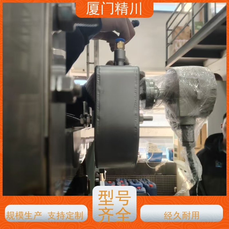精川股份 半导体DN1质量流量计 支持定制 更放心
