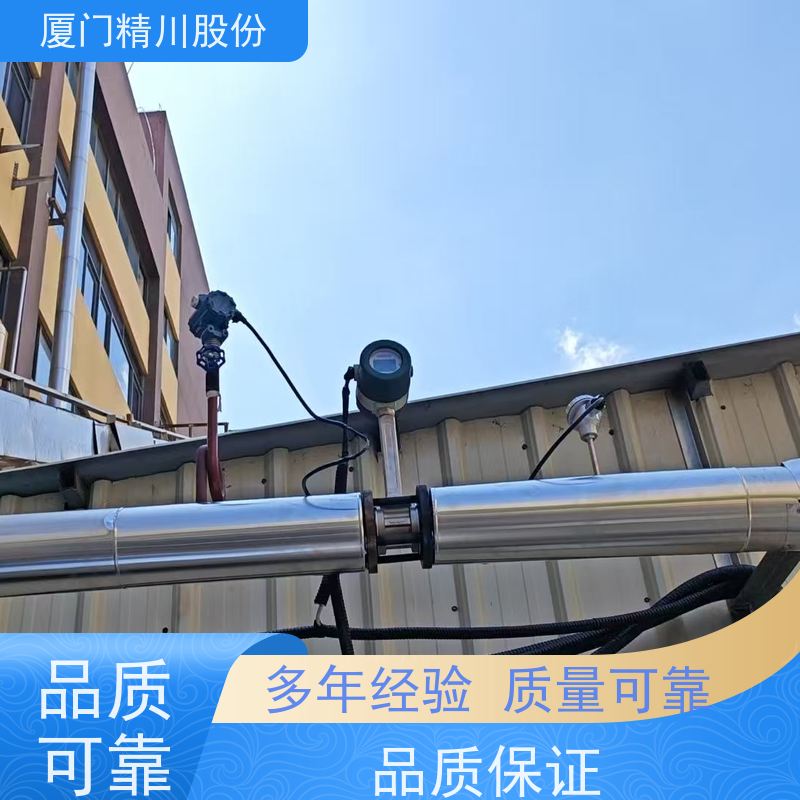 精川股份 电镀厂 压缩空气流量计 工作时间长 维护量少