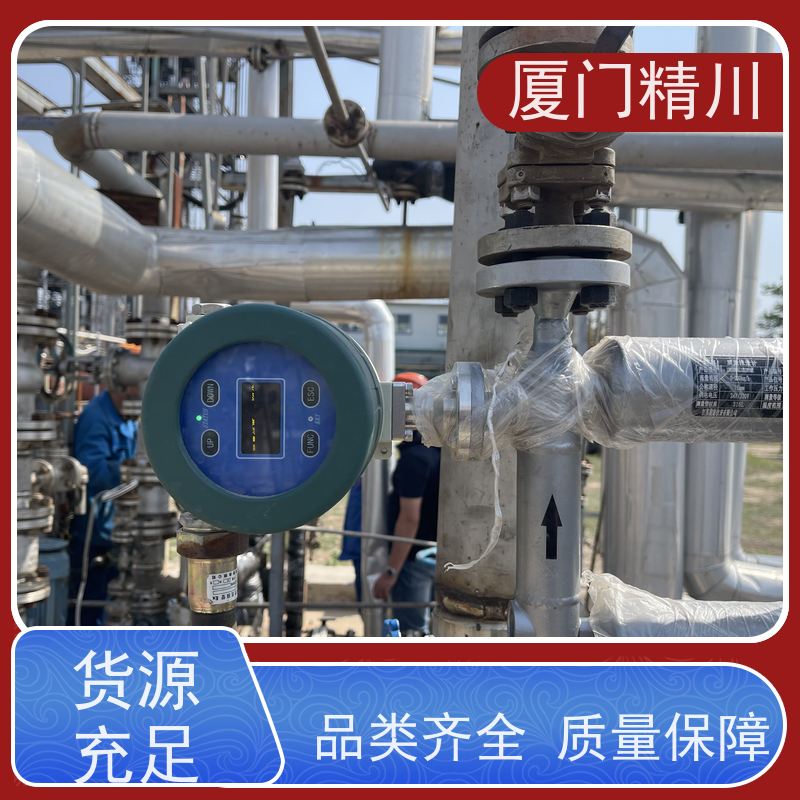精川股份 锂电行业U型质量流量计 连接方式支持定制 更放心