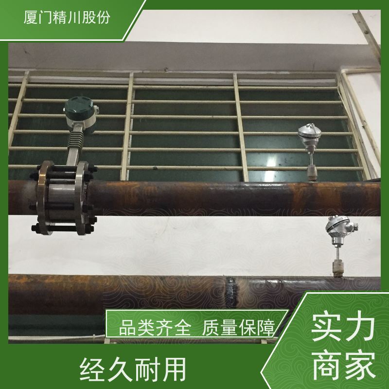 精川股份 PU皮革厂 导热油热量表 精度高 经久耐用