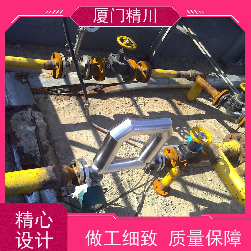 精川 高校科氏力质量流量计 接液316L材质 更放心