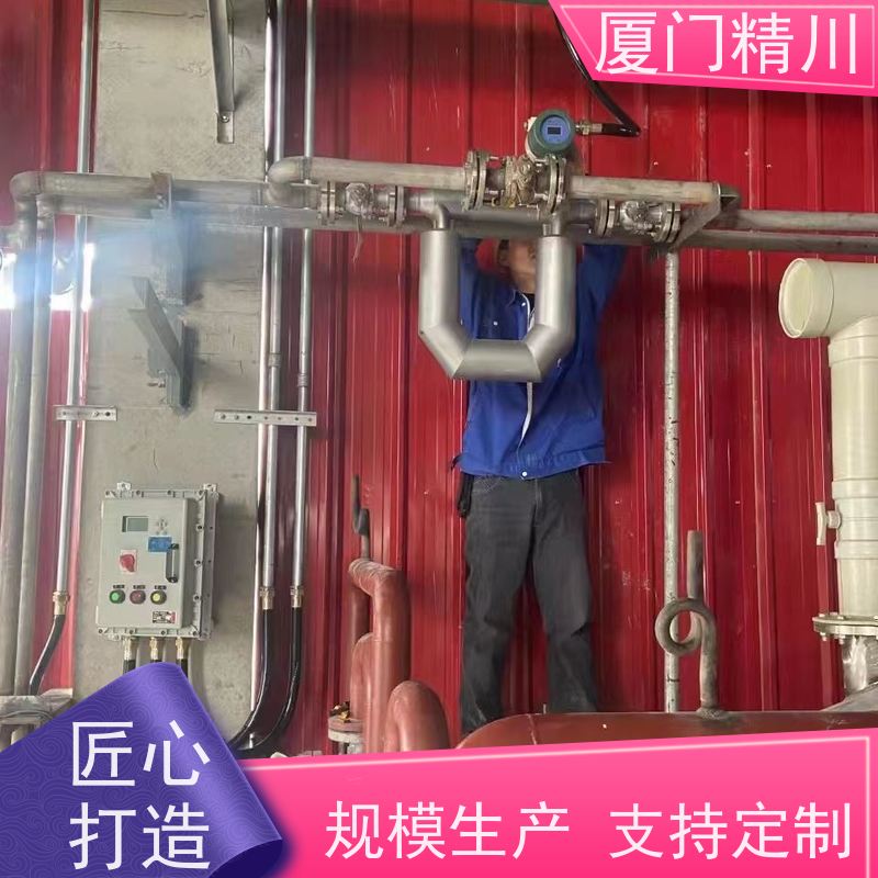 精川 锂电行业液体质量流量计 连接方式支持定制 省力