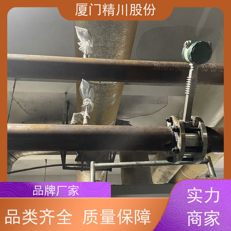 精川股份 制革厂 导热油炉流量计 耐高温400度 带接线说明