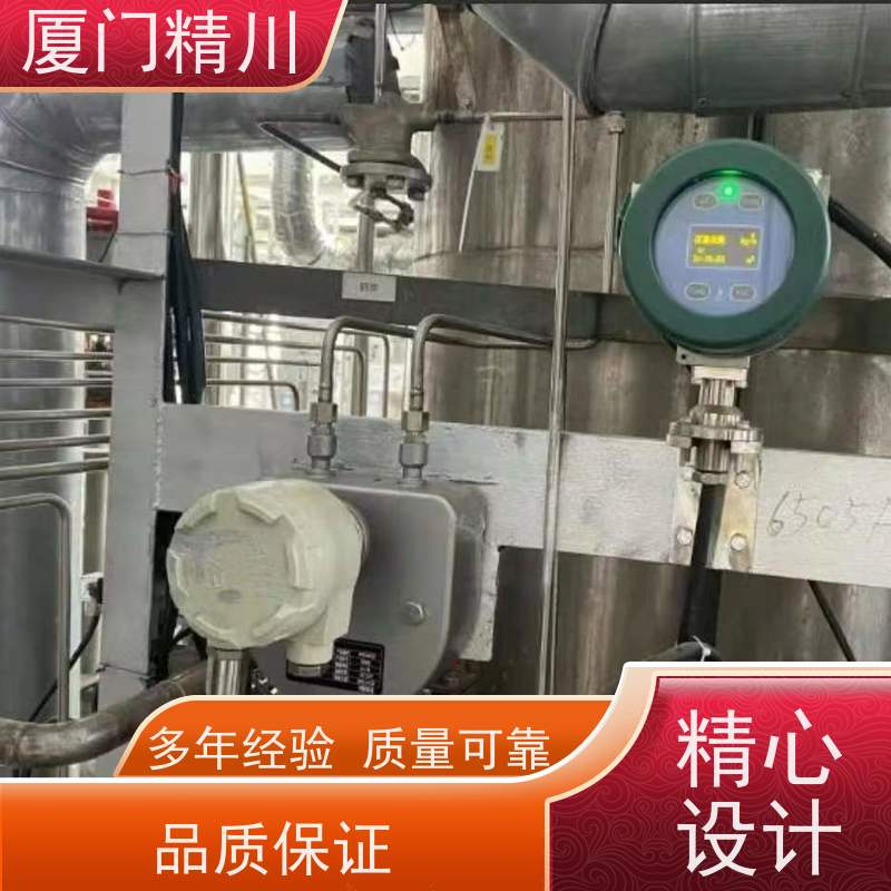 精川股份 制药设备微弯质量流量计 精度0.2级 更放心