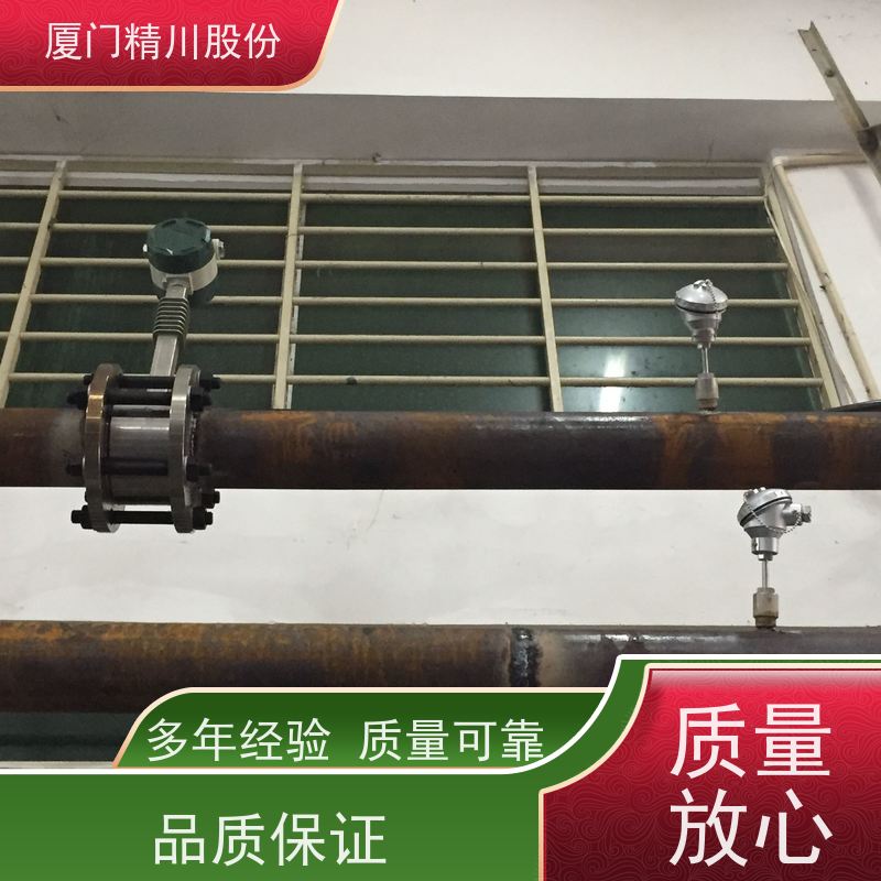 精川股份 PU皮革厂 导热油流量计 自动计算能量 单位可选