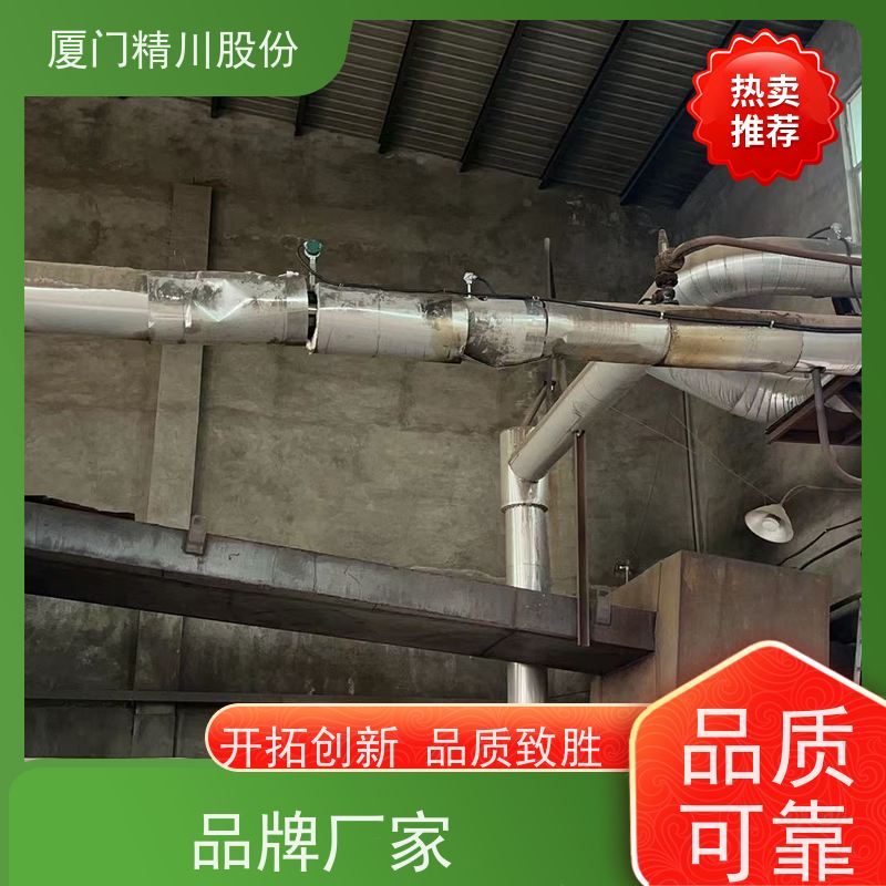 精川股份 鞋材厂 导热油炉流量计 耐高温400度 经久耐用