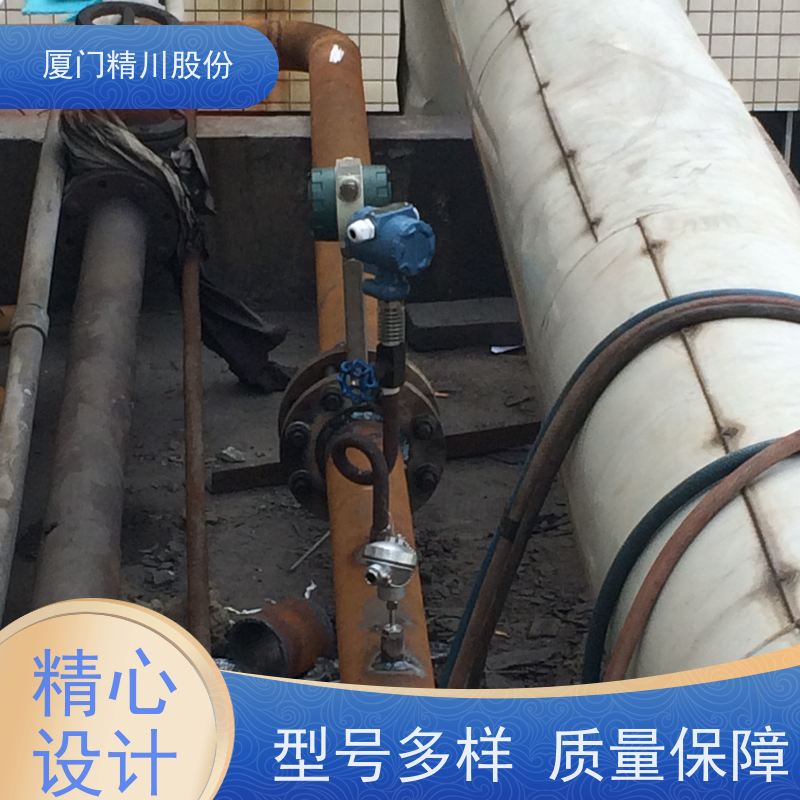 精川股份 电镀厂 气体涡街流量计 抗震性能好 真实应用案例多