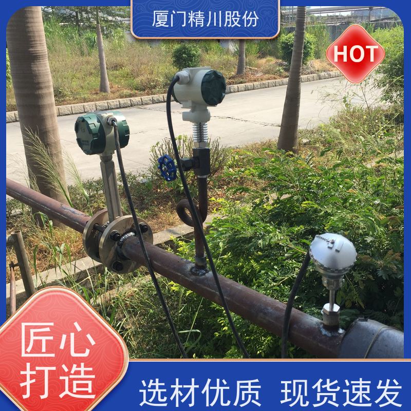 精川股份 食品厂 导热油涡街流量计 一体式温压补偿 源头生产厂家
