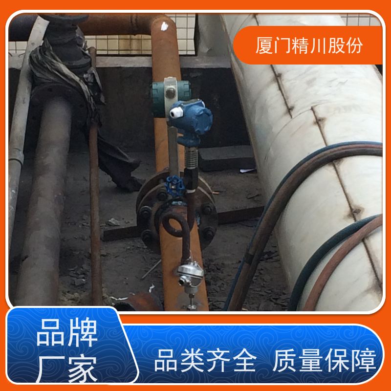 精川股份 造纸厂 涡街流量计 一体式温压补偿 应用广泛