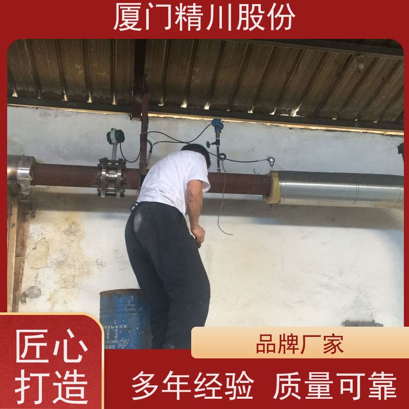 精川股份 饲料厂 空气涡街流量计 一体式温压补偿 源头生产厂家