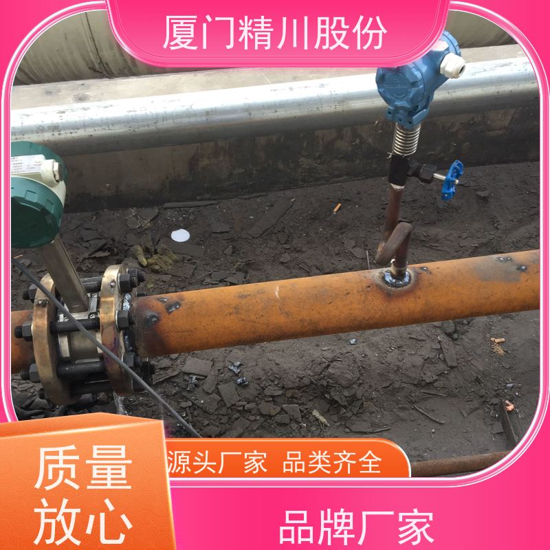 精川股份 人造革厂 气体涡街流量计 测量精度高 支持免费选型