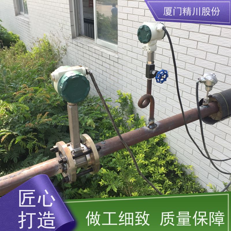 精川股份 橡胶厂 蒸汽涡街流量计 工作时间长 支持免费选型