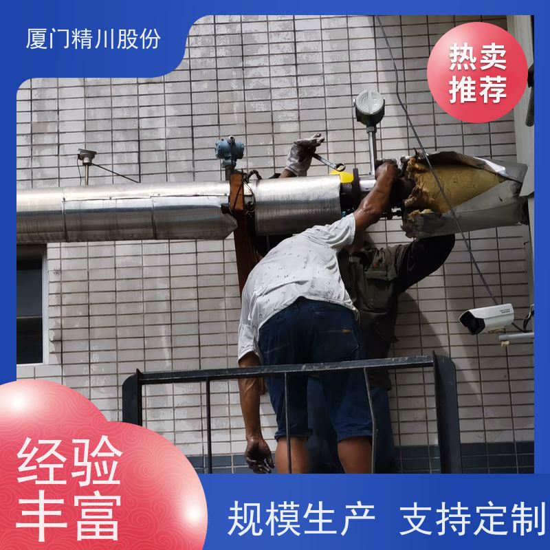 精川股份 印染厂 压缩空气流量计 可耐温350度 支持免费选型