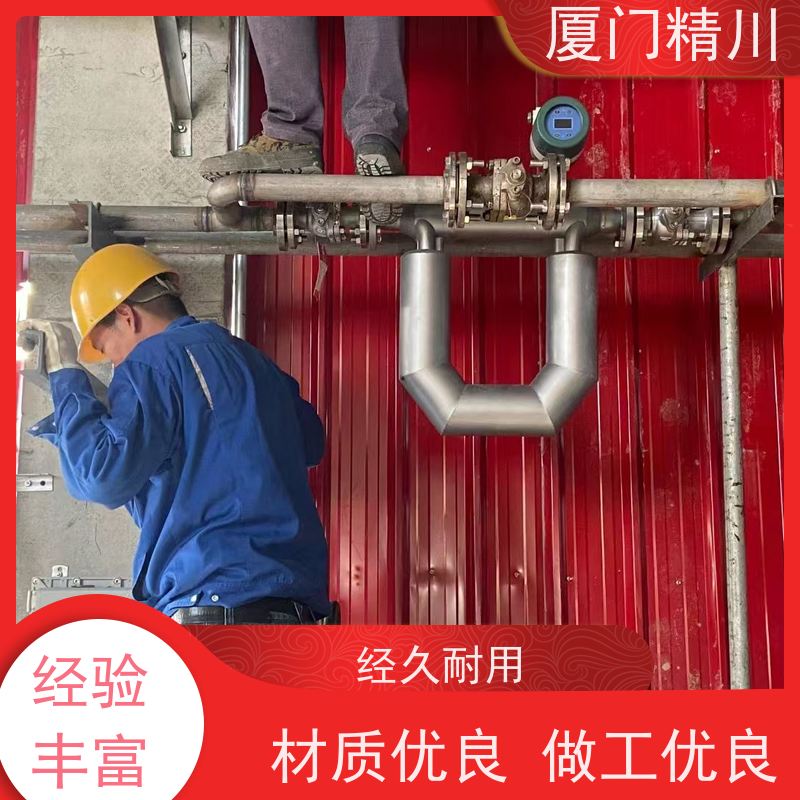 精川 大学实验室科里奥利质量流量计 支持定制 更耐用