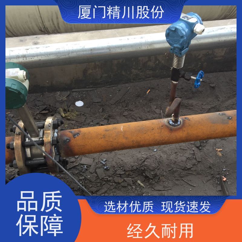 精川股份 橡胶厂 压缩空气流量计 可耐温350度 维护量少