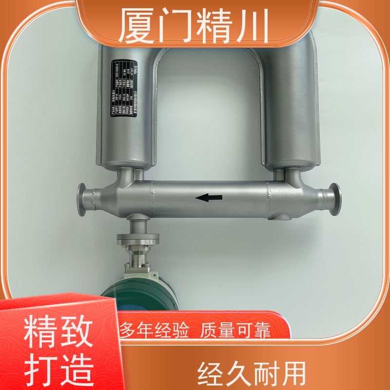 精川股份 设备配套气体质量流量计 支持定制 有保障