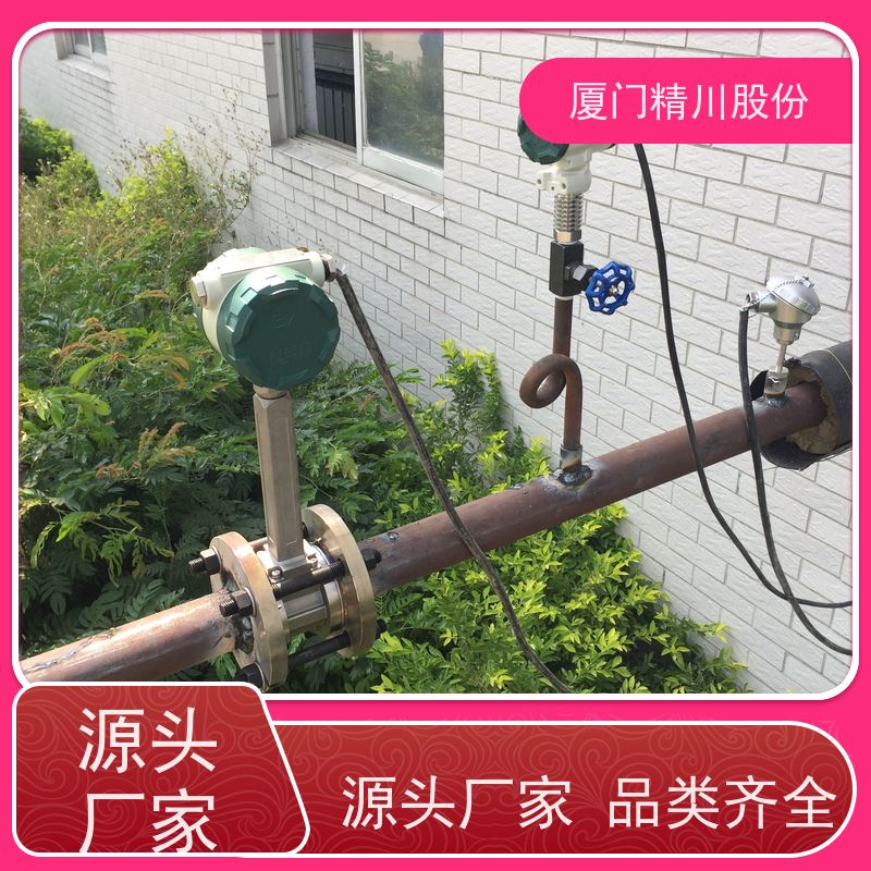 精川股份 皮革厂 饱和蒸汽流量计 测量精度高 维护量少