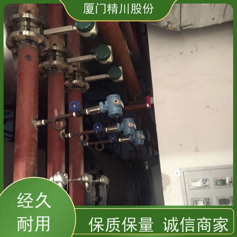 精川股份 胶带厂 蒸汽流量计 一体式温压补偿 源头生产厂家