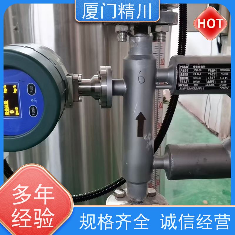 精川 大学实验室U型质量流量计 连接方式支持定制 更放心