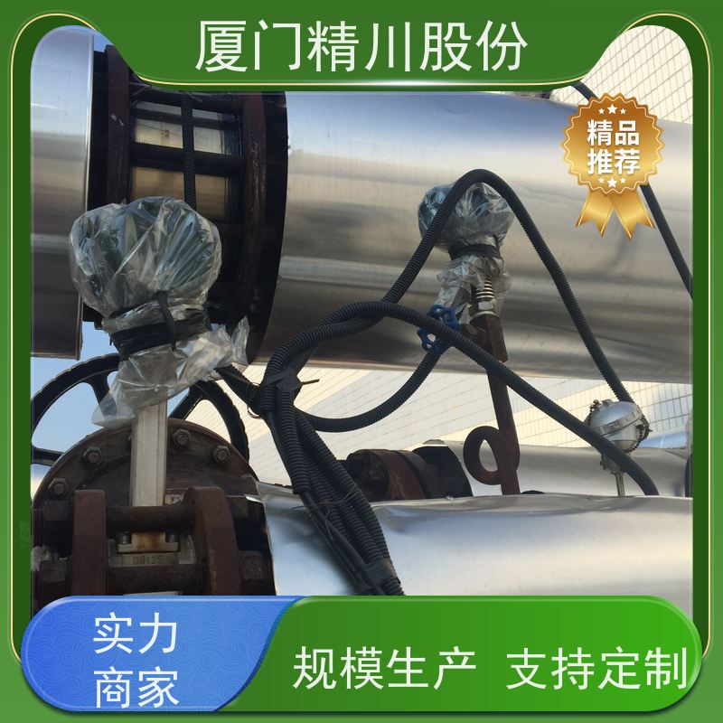 精川股份 PU皮革厂 导热油流量计 耐高温400度 免费选型