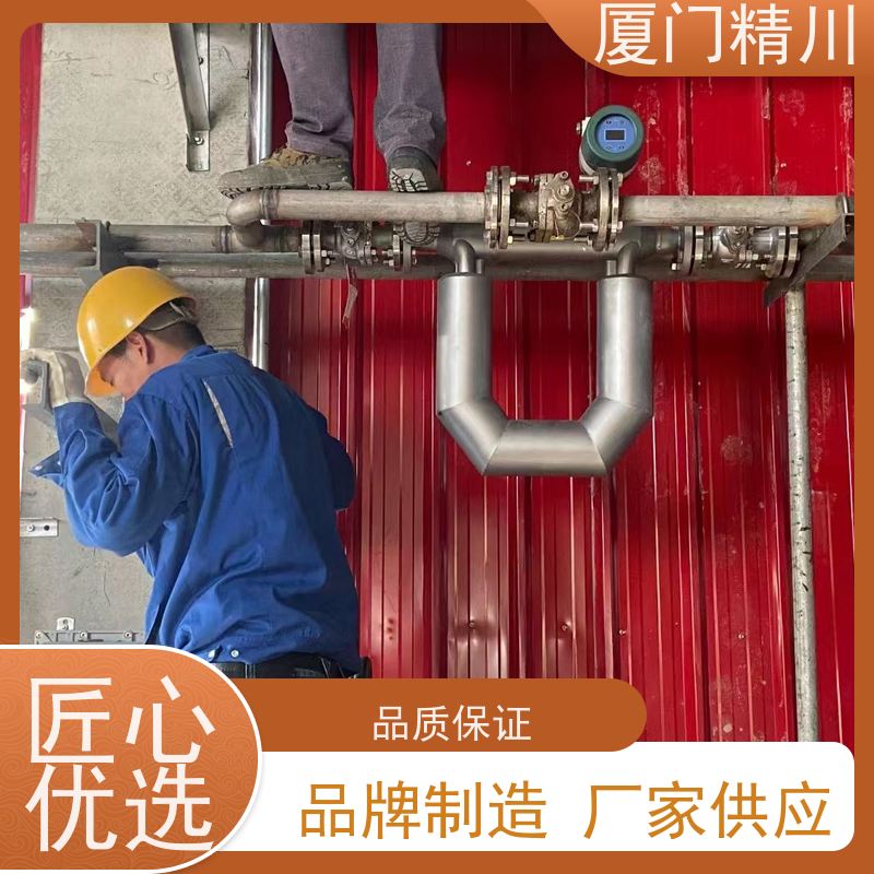 精川 设备配套科氏力质量流量计 接液316L材质 有保障