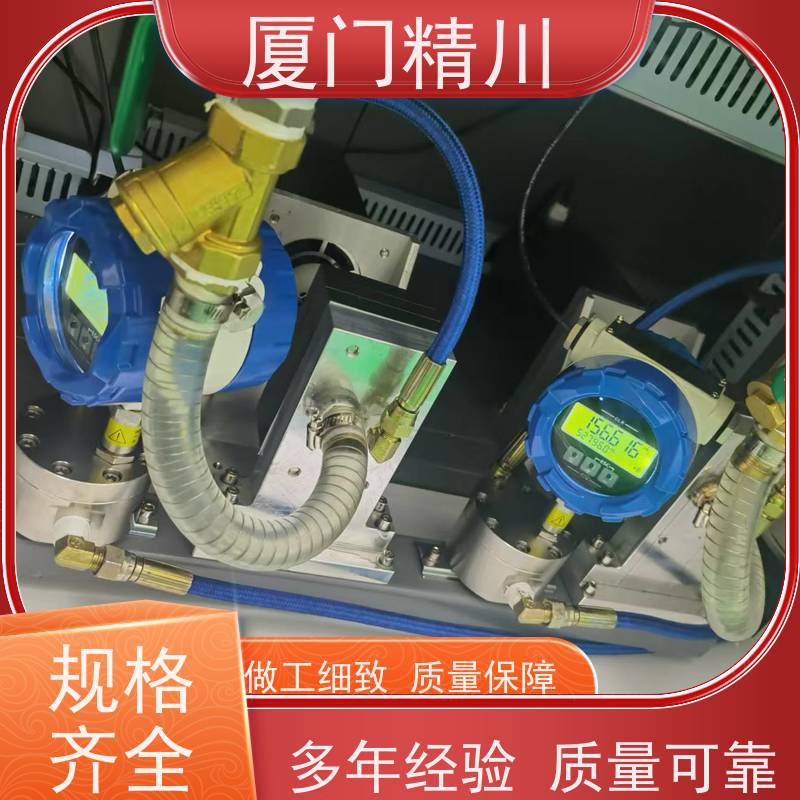 精川 油脂 PEEK材质圆齿轮流量计 体积小 只为您好用
