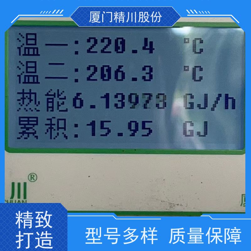 精川股份 人造革厂 导热油炉流量计 精度高 带接线说明