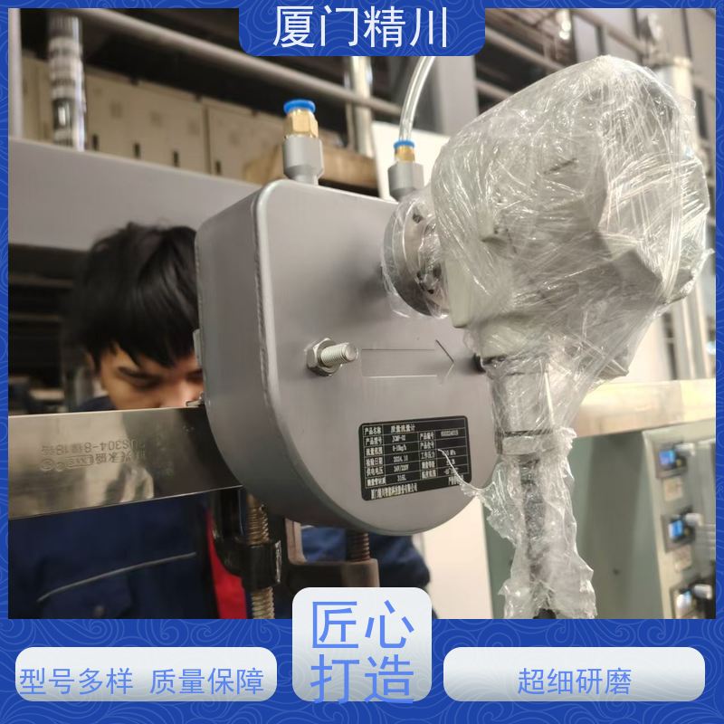 精川股份 高校U型质量流量计 连接方式支持定制 更耐用
