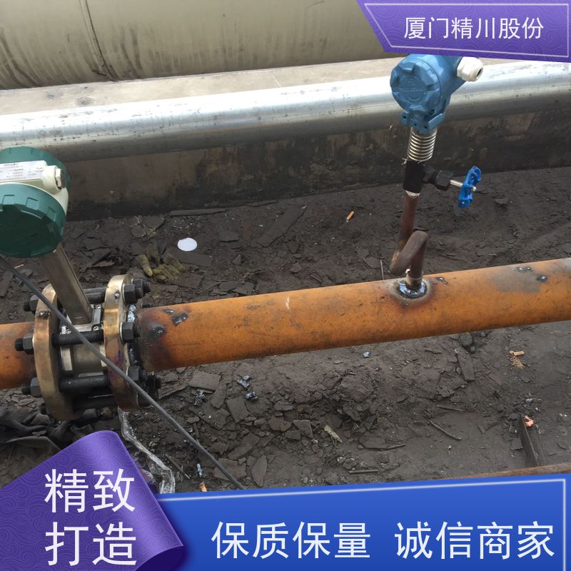 精川股份PU皮革厂二氧化碳流量计体积小维护量少