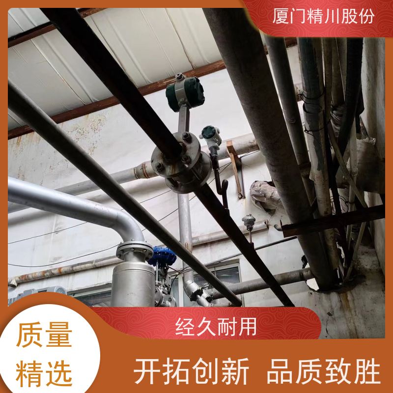 精川股份 橡胶厂 蒸汽涡街流量计 分体式温压补偿 支持免费选型