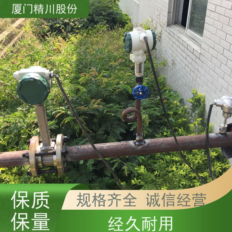 精川股份 染整厂 气体涡街流量计 一体式温压补偿 应用广泛