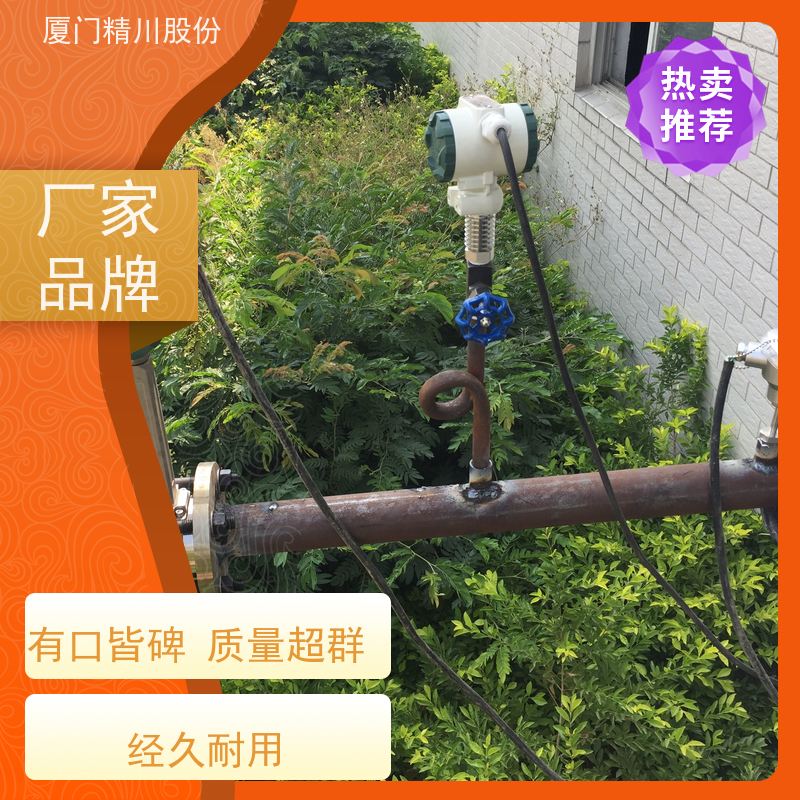 精川股份 制药厂 气体涡街流量计 可耐温350度 源头生产厂家