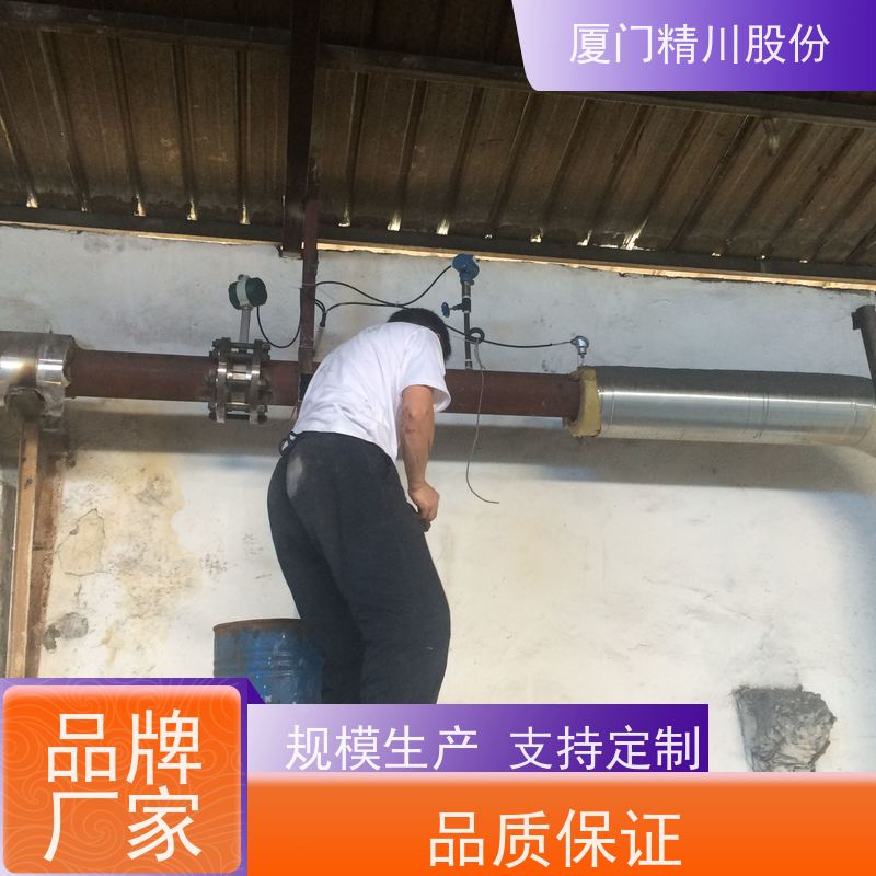 精川股份 皮革厂 蒸汽涡街流量计 分体式温压补偿 真实应用案例多