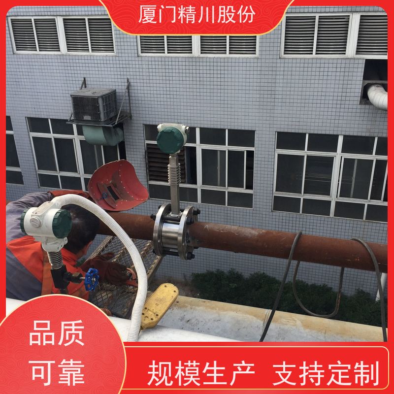精川股份 橡胶厂 液体涡街流量计 抗震性能好 应用广泛