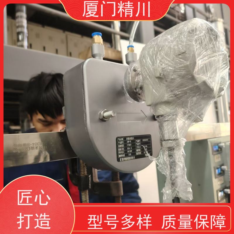 精川 半导体小口径质量流量计 接液316L材质 有保障