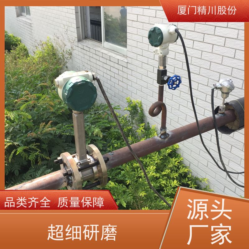 精川股份 胶带厂 饱和蒸汽流量计 抗震性能好 源头生产厂家