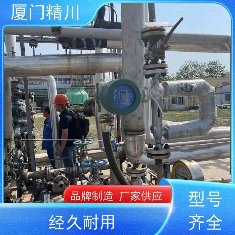 精川 高校质量流量计 连接方式支持定制 更放心