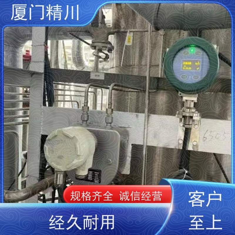 精川股份 食品厂小口径质量流量计 接液316L材质 省力