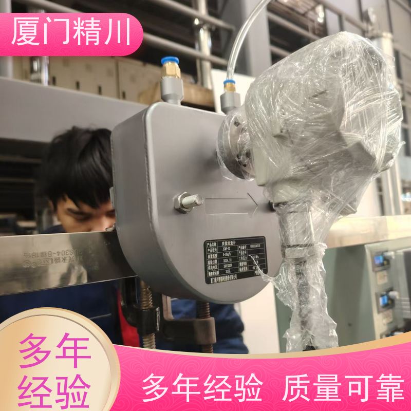 精川股份 制药设备DN1质量流量计 连接方式支持定制 更放心