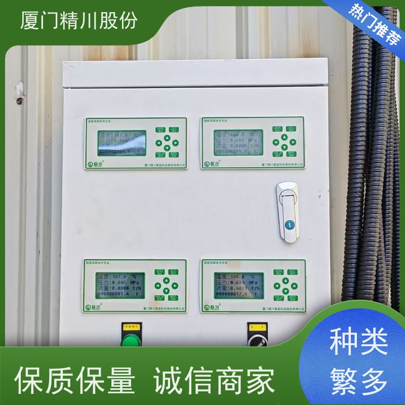 精川股份造纸厂二氧化碳流量计抗震性能好服务量少