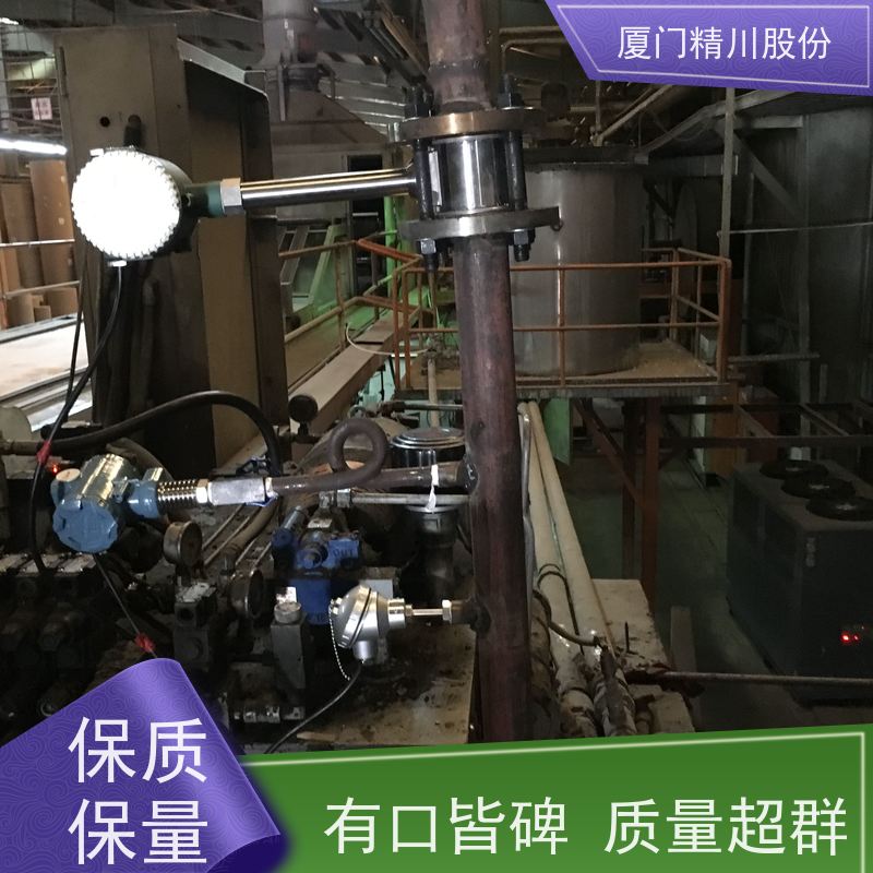 精川股份食品厂压缩空气流量计分体式温压补偿源头生产厂家