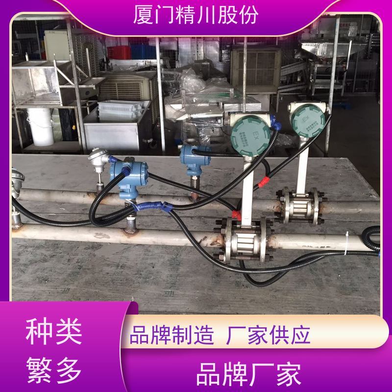 精川股份皮革厂压缩空气流量计一体式温压补偿应用广泛