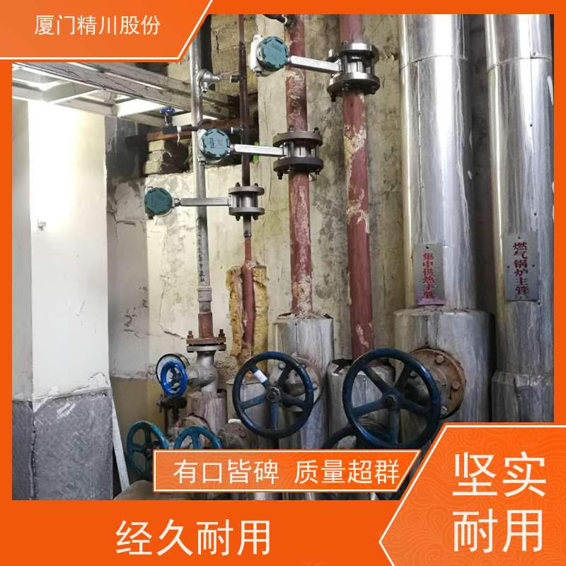 精川股份 纺织厂 蒸汽涡街流量计 分体式温压补偿 源头生产厂家