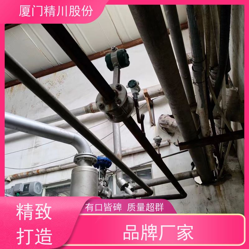 精川股份皮革厂二氧化碳流量计一体式温压补偿维护量少