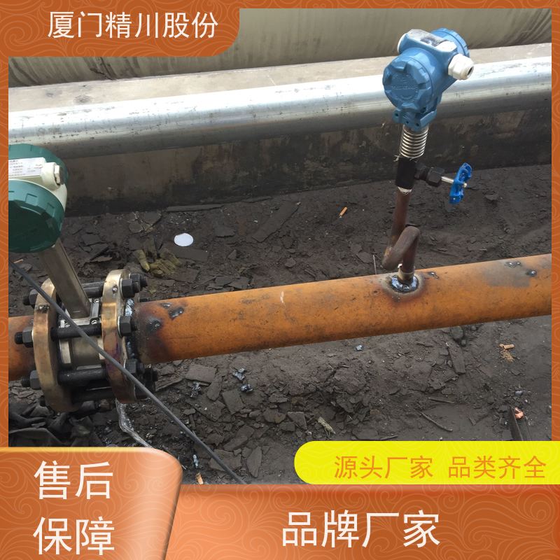 精川股份 合成革厂 导热油涡街流量计 工作时间长 真实应用案例多