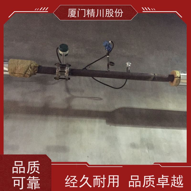 精川股份 合成革厂 蒸汽涡街流量计 抗震性能好 应用广泛