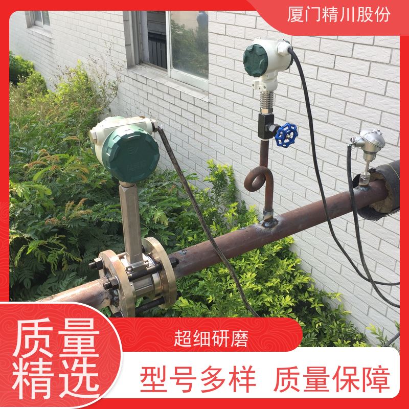 精川股份 饲料厂 涡街流量计 分体式温压补偿 源头生产厂家