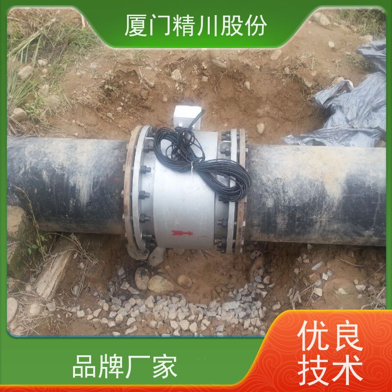 精川电镀厂分体式电磁流量计免费选型经久耐用