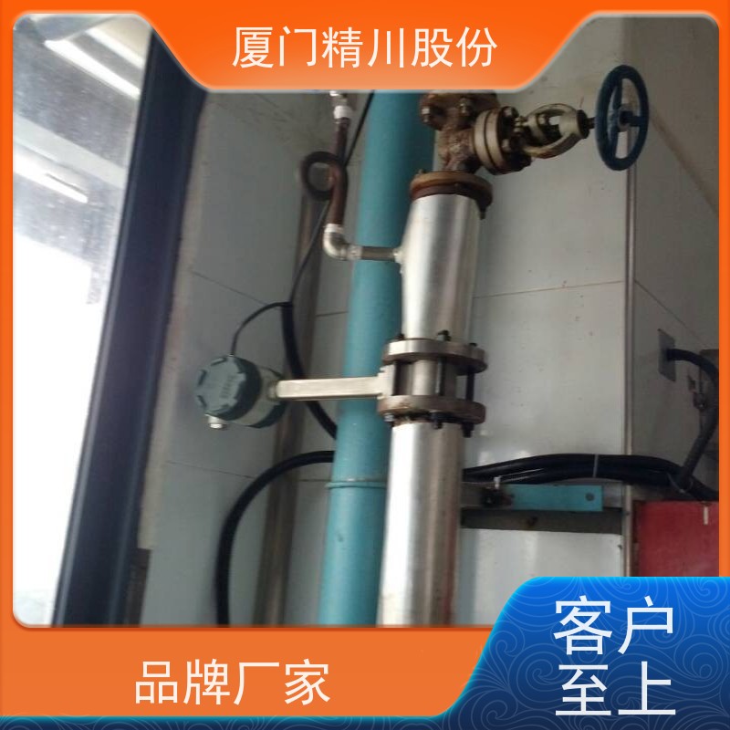 精川股份 电镀厂 蒸汽涡街流量计 分体式温压补偿 支持免费选型