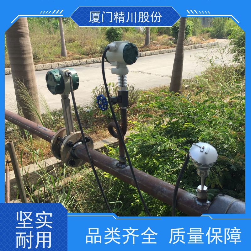 精川股份 织造厂 蒸汽流量计 抗震性能好 支持免费选型